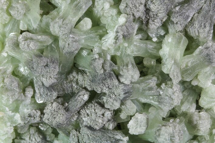 Green, Bowtie Prehnite Crystal Cluster - Morocco #80680